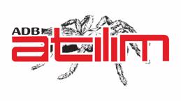 atılım